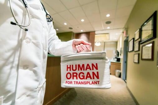 Organ transport